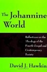 David J Hawkin, David J. Hawkin - The Johannine World