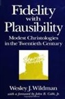Wesley J Wildman, Wesley J. Wildman, Wildman Wesley J. - Fidelity with Plausibility
