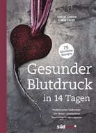 Jerk W Langer, Jerk W. Langer, Jens Linnet - Gesunder Blutdruck in 14 Tagen