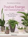 Eva Katharina Hoffmann - Positive Energie mit Zimmerpflanzen -  86 Energiepflanzen für mehr Kraft, Harmonie und innere Ruhe