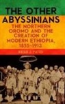Brian Yates, Brian J Yates, Brian J. Yates - The Other Abyssinians