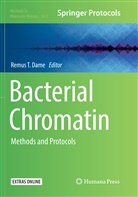 Remus T. Dame, Remu T Dame, Remus T Dame - Bacterial Chromatin