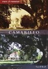 David Reel - Camarillo