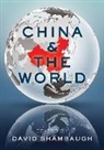 David Shambaugh, David (Professor of Political Science Shambaugh, David Shambaugh, David L. Shambaugh, Shambaugh David - China and the World