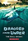 Joseph Monninger - The Bull Shark