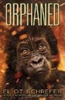 Eliot Schrefer - Orphaned (Ape Quartet #4)