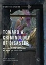 Kelly Frailing, Dee Wood Harper - Toward a Criminology of Disaster