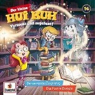 Der kleine Hui Buh - Der verrückte Zeugnistag / Das Fest im Dunkeln, 1 Audio-CD (Audio book)