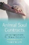 Tammy Billups - Animal Soul Contracts