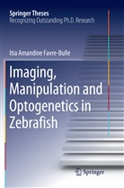 Itia Amandine Favre¿Bulle, Itia Amandine FavreBulle, Itia Amandine Favre-Bulle - Imaging, Manipulation and Optogenetics in Zebrafish