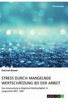 Christian Ganser - Stress durch mangelnde Wertschätzung bei der Arbeit