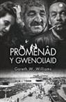 Gareth W. Williams - Promenad Y Gwenoliaid