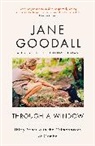 Jane Goodall - Through A Window