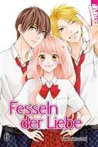 Yuki Shiraishi - Fesseln der Liebe. Bd.6. Bd.6
