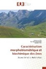 Kabor Salifou, Kabore Salifou, Sawadogo, Germai Sawadogo, Adaman Sow - Caractérisation morphobiométrique et biochimique des ânes