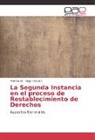 Patrici Gil, Patricia Gil, Hugo Palacios - La Segunda Instancia en el proceso de Restablecimiento de Derechos