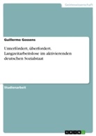 Guillermo Gossens - Unterfördert, überfordert. Langzeitarbeitslose im aktivierenden deutschen Sozialstaat