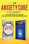 Steven Frank - The Anxiety Cure