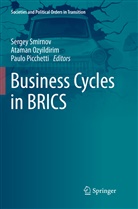 Atama Ozyildirim, Ataman Ozyildirim, Paulo Picchetti, Sergey Smirnov - Business Cycles in BRICS