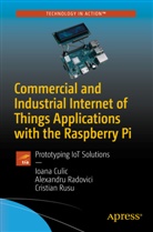 Ioan Culic, Ioana Culic, Alexandr Radovici, Alexandru Radovici, Cristian Rusu - Commercial and Industrial Internet of Things Applications with the Raspberry Pi
