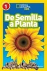 Kristin Rattini, Kristin Baird Rattini - National Geographic Readers: De Semilla a Planta (L1)