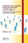 Mukesh Jain, Jain Mukesh - Delivering Successful Projects With Tsp(sm) and Six Sigma