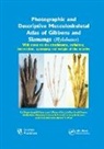 Julia Arias-Martorell, M Ashraf Aziz, M. Ashraf Aziz, Mercedes Barbosa, Gaelle Bello, Anne M Burrows... - Photographic Descriptive Musculoskeletal Atlas of Gibbons Siamangs