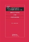 Haim Brezis, P. L. Sachdev, P.L. Sachdev, P.l. (Indian Institute of Science Sachdev - Shock Waves & Explosions