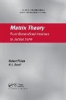 P.L. Odell, Robert Piziak, Robert (Baylor University Piziak, Robert Odell Piziak, Piziak Robert - Matrix Theory