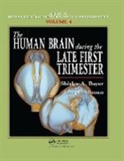 Joseph Altman, Altman Joseph, Shirley A. Bayer, Shirley A. (Indianapolis Bayer, Shirley A. Altman Bayer, Bayer Shirley A. - Human Brain During the Late First Trimester