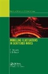 E. Jakeman, E. Ridley Jakeman, Jakeman E., K. D. Ridley - Modeling Fluctuations in Scattered Waves