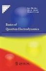 Roxana E Lupu, Roxana E. Lupu, Ioan Merches, Ioan Tatomir Merches, Dorian Tatomir - Basics of Quantum Electrodynamics