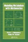 Philip W Kuchel, Philip W. Kuchel, Peter Mulquiney, Peter Kuchel Mulquiney - Modelling Metabolism With Mathematica