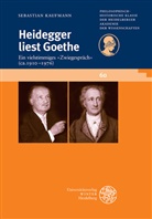 Sebastian Kaufmann - Heidegger liest Goethe