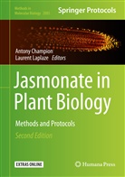 Anton Champion, Antony Champion, Laplaze, Laplaze, Laurent Laplaze - Jasmonate in Plant Biology