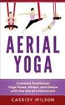 Cassidy Wilson - Aerial Yoga