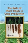 Nand Kumar Fageria, Nand Kumar (Embrapa Fageria - Role of Plant Roots in Crop Production