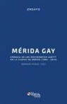 German Pasos Tzec - Merida Gay. Cronica de Los Movimientos Lgbttt En La Ciudad de Merida (1960-2014)