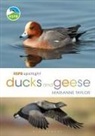 Marianne Taylor, Ms Marianne Taylor - RSPB Spotlight Ducks and Geese