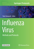 Yohe Yamauchi, Yohei Yamauchi - Influenza Virus