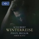 Winterreise (Hörbuch)