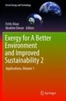 Fethi Aloui, Dincer, Ibrahim Dincer - Exergy for A Better Environment and Improved Sustainability 2