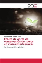 Jackson Javier Salgado Perez - Efecto de obras de conservación de suelos en macroinvertebrados