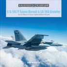 Ken Neubeck - F/A-18E/F Super Hornet and EA-18G Growler