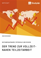 David Weisensee - Der Trend zur vollzeitnahen Teilzeitarbeit. Bestandsaufnahme, Potenziale und Risiken