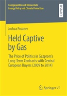 Joshua Posaner - Held Captive by Gas