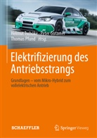 Pete Gutzmer, Peter Gutzmer, Thomas Pfund, Helmut Tschöke - Elektrifizierung des Antriebsstrangs