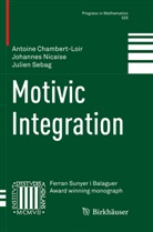 Antoin Chambert-Loir, Antoine Chambert-Loir, Johanne Nicaise, Johannes Nicaise, Ju Sebag, Julien Sebag - Motivic Integration