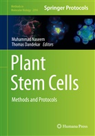 Muhammad Naseem, Dandekar, Dandekar, Thomas Dandekar, Muhamma Naseem, Muhammad Naseem - Plant Stem Cells