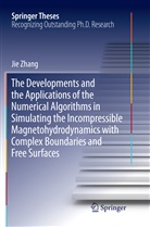 Jie Zhang - The Developments and the Applications of the Numerical Algorithms in Simulating the Incompressible Magnetohydrodynamics with Complex Boundaries and Free Surfaces